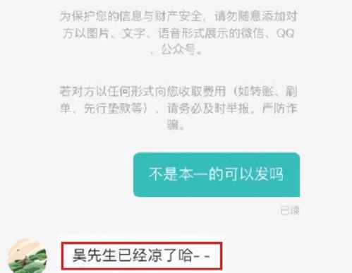 央视回应 求职被嘲 ,考不上本科到底是不是智商问题 引发争议