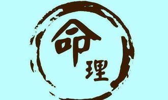 易经风水365 站在文字的高度来看中华传统文化,轻松学习易经八卦和八字命理2