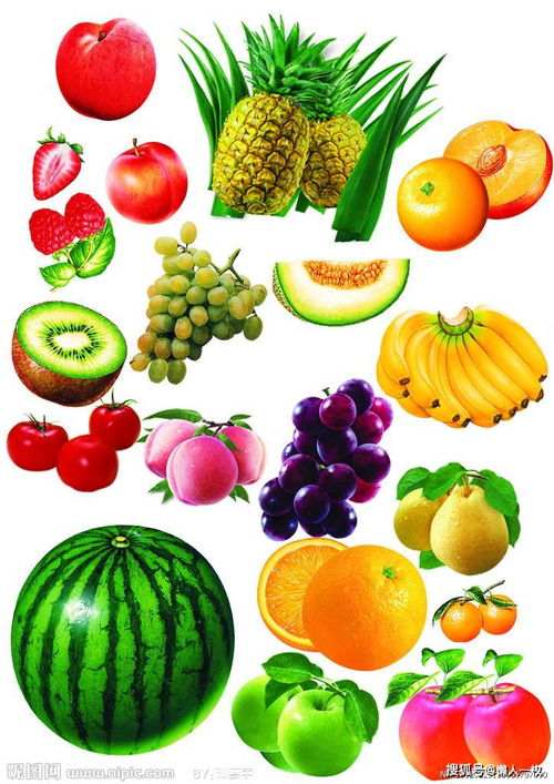 100种水果大全 1000个水果名字