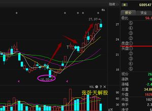 600547山东黄金，中线可看高到多少？短期还会跌吗？