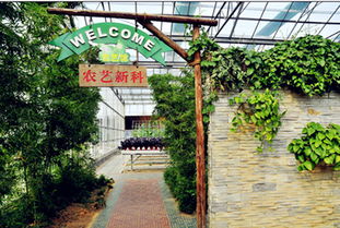 深圳光明农场大观园门票 电子票 快速入园 集科研 生产 生态旅游 科教于一体的现代化农业园区