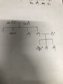 为什么乙病伴x隐性遗传 隐性知道,就是不知道为什么是伴X,伴x隐性遗传特点为一交叉隔代遗传,并不符 