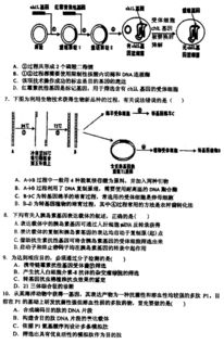 2019届西安电子科大附中第二学期期末考试高二年级生物试题 图片版 