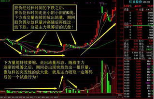 我有一支股票主力连续3天加仓,而且还在低位,一直保持不涨不跌,看样子拉升在即,大家仔细看一下,600359要买在明天