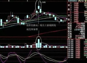 我是个股票新手，股票学习起来难吗？