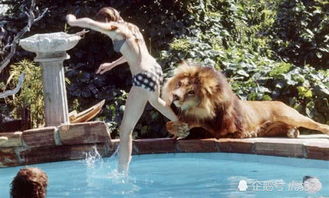 美国美女饲养狮子当宠物,一起嬉戏玩耍,结果最后后悔死了 