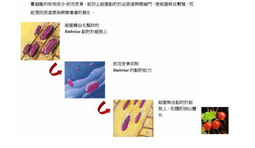 科学备孕 备孕三个月了还是没怀上怎么办 专家谈怎样备孕才稳妥