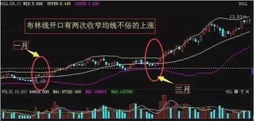 现货macd布林线kd指标怎样组合最好