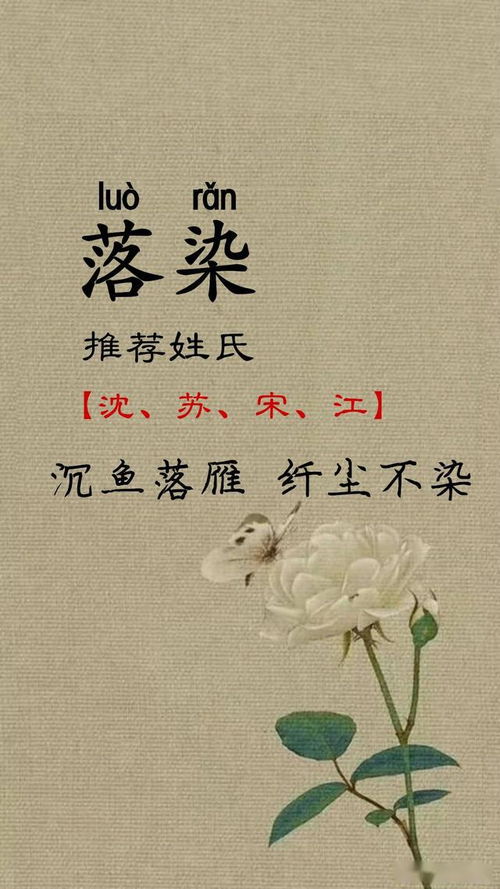 谪仙般的女孩名字,个个都美