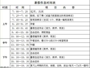 怎样制作一张暑假计划表 悬赏100 图片 