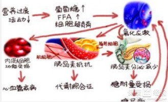 糖尿病人能吃蜂胶吗有哪些注意事项