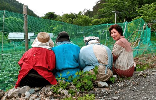 日本怪谈 6 最温馨也最诡异的村庄,300名村民里竟有9成不是 活人