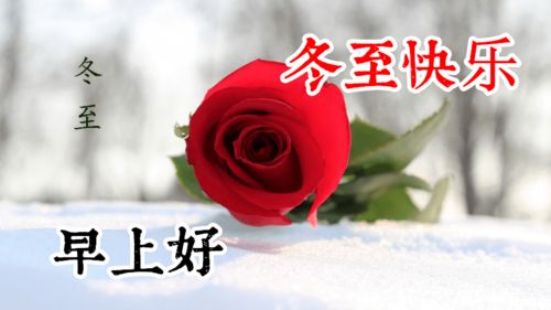 冬至问候美图,冬至问候语句 祝福 