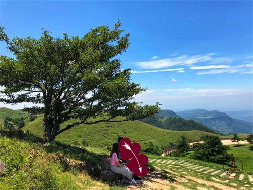 外景帐篷怎么弄好看 山楂树之恋的外景拍摄地