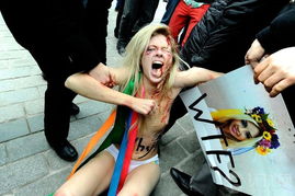 2012 脱衣 去游行 盘点全球裸体抗议 图