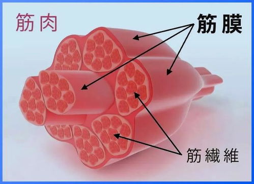 解决了这个,你也可以每天坚持健身