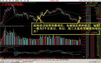 团里有人炒股吗？分享一下炒股经验好么？顺便推荐一下自己看好的股票吧。