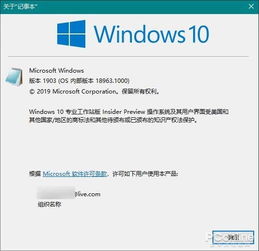 Win10应用商店了安装不了应用