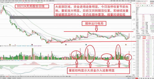 2022年9月2日五行属什么