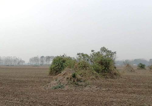 山东一祖坟在别人家地里,现在对方要求迁走,那么该怎么办