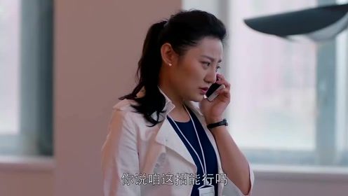 女总裁碰上难搞客户,每天陪吃陪玩,客户终于改变了想法