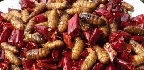 蚕蛹5种最好吃的家庭做法,简单美味又馋人,看看你喜欢吃不