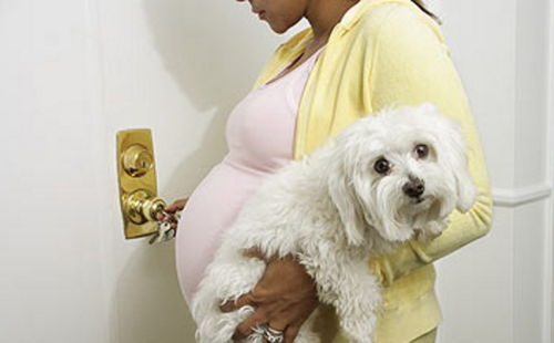 养狗对孕妇的影响大吗 怀孕期间养狗对胎儿有什么危害 生男生女帮 