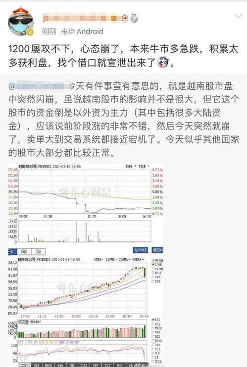 越南股市为什么大涨「年内涨幅全球第1越南股市为什么这么牛热点复盘」