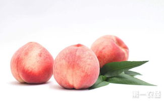 桃子的品种有哪些,桃子的品种有哪些