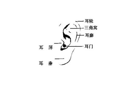 女人耳朵长痣面相图 这个位置有痣的女人暗财涌动