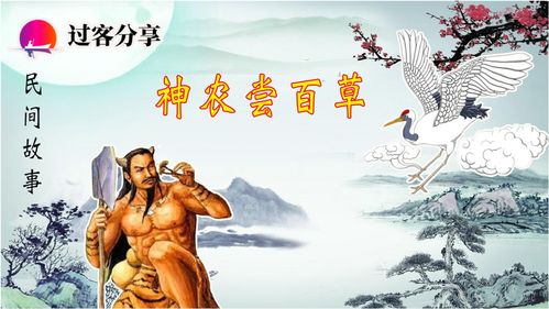 民间故事 神农尝百草的传说,以及神农架称呼的来历 