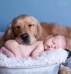 孩子与狗狗一起睡觉的照片 还有什么比这个更可爱的
