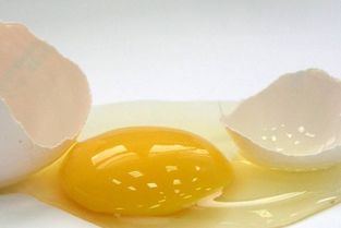 绿色蛋清的鸡蛋能吃么 