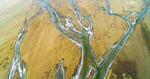 黄河变绿是什么征兆 黄河山西段出现 绿水 ,为何鱼却变少了
