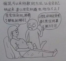 漫画家都是一个人负责故事和作画吗(漫画家都是一个人负责故事和作画吗英语)