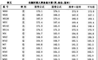 考古还原中国古人真实身高 史书还要骗了我们多久