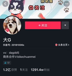 抖音达人号怎么报白珠宝(抖音达人保证金怎么交在哪交)