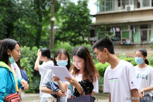 高考提前批是什么意思提前批可以报几个学校(高考提前批都可以报哪些专业)