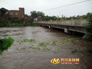 内江隆昌出现严重汛情 近千亩土地被淹没 