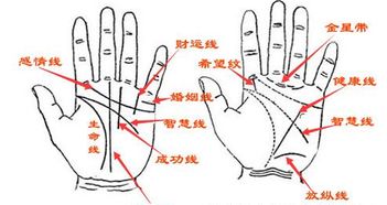 手纹掌纹学问大,正确认识手相的完整解说 