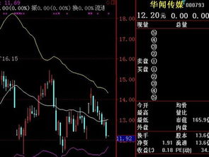 我了一种股票叫“华闻传媒”代号000793，停牌停了很久，我的股票怎麽办？