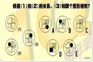 国际智商测试 全对的智商135 据说第三题无人答对