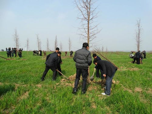 新规3点要注意,基本农田种树要严惩,一般耕地也不能种