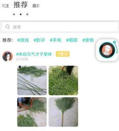 soul怎么发瞬间动态 瞬间发送 好友添加教程分享