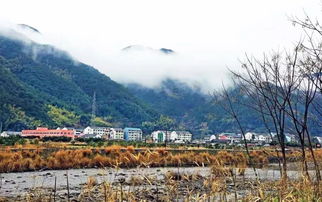 浙江台州黄岩上郑乡