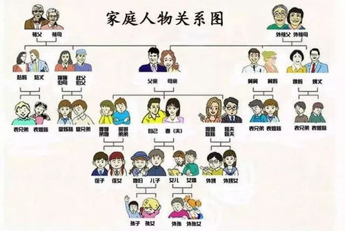 最全 家庭成员关系的英语表达,用这张图展现得清清楚楚......