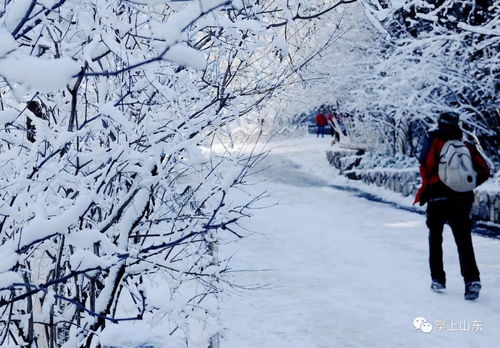 济南的雪,描写济南雪景的诗词有哪些？(图2)