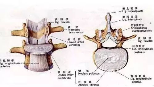 颈型颈椎病 治疗颈椎病的最佳时机