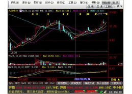 海通证券网上交易如何申购股票