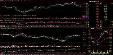 请问哪个证券软件可以看几年前的30分钟，5分钟K线图